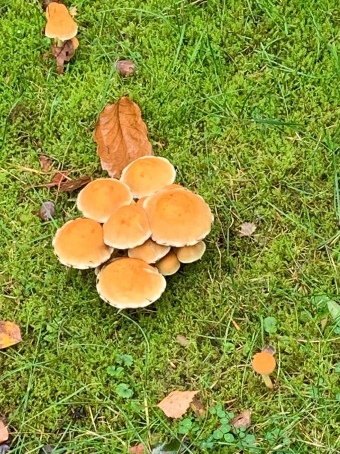 Vosseveen 62 Zelhem Dış mekan fotoğraf